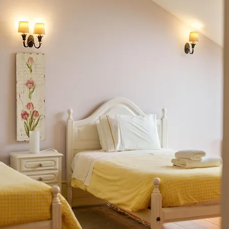 Feel Discovery Casa Da Capela Douro Valley Armamar